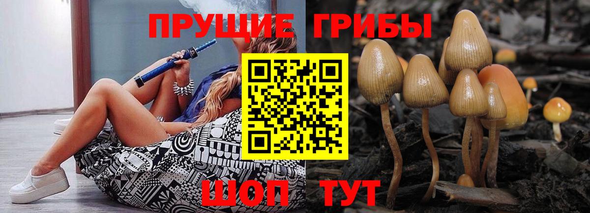 Псилоцибиновые грибы прущие грибы  Вход с VPN  Псилоцибиновые грибы Psilocybine cubensis  Сибай 